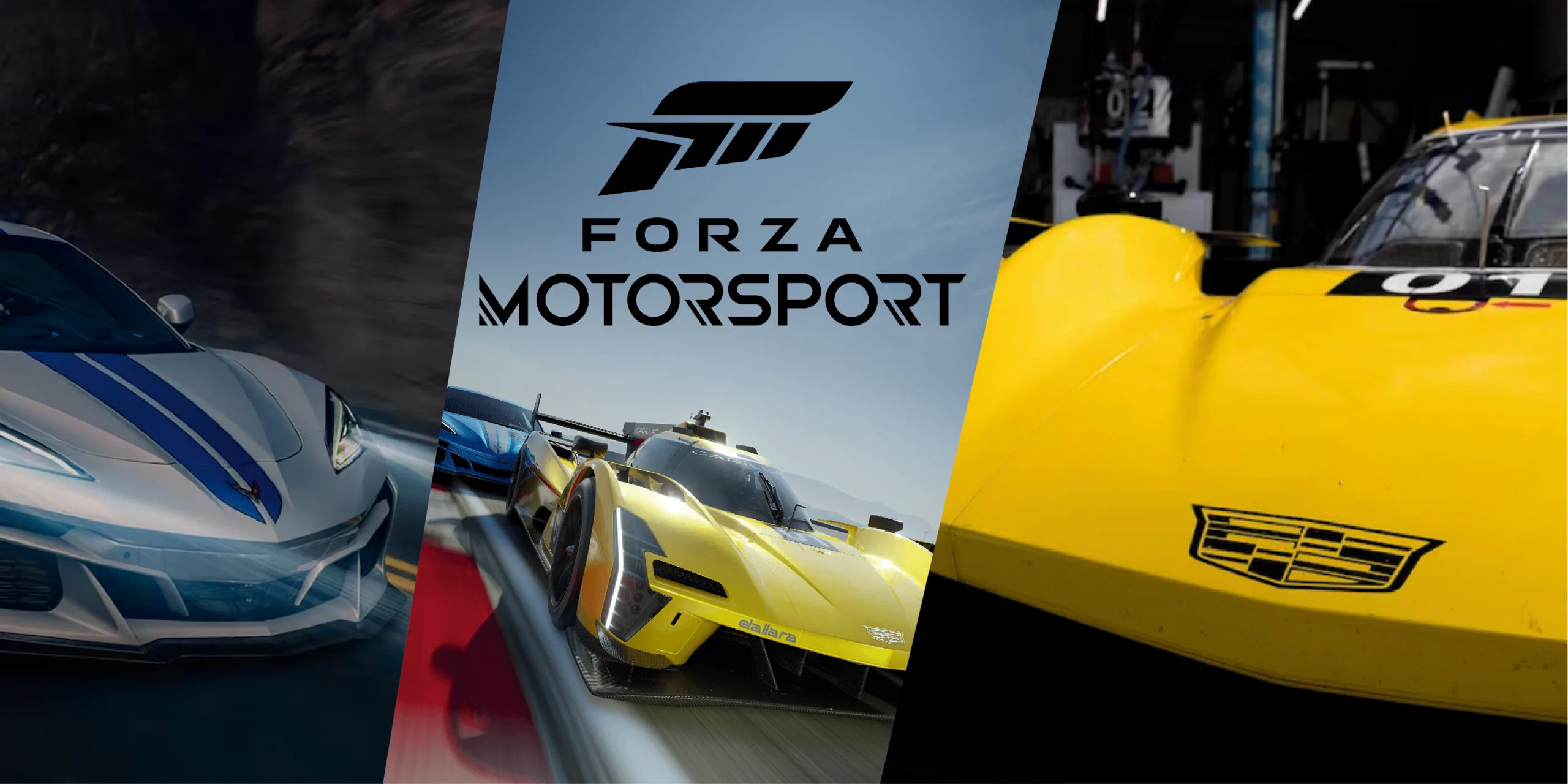 Forza 8