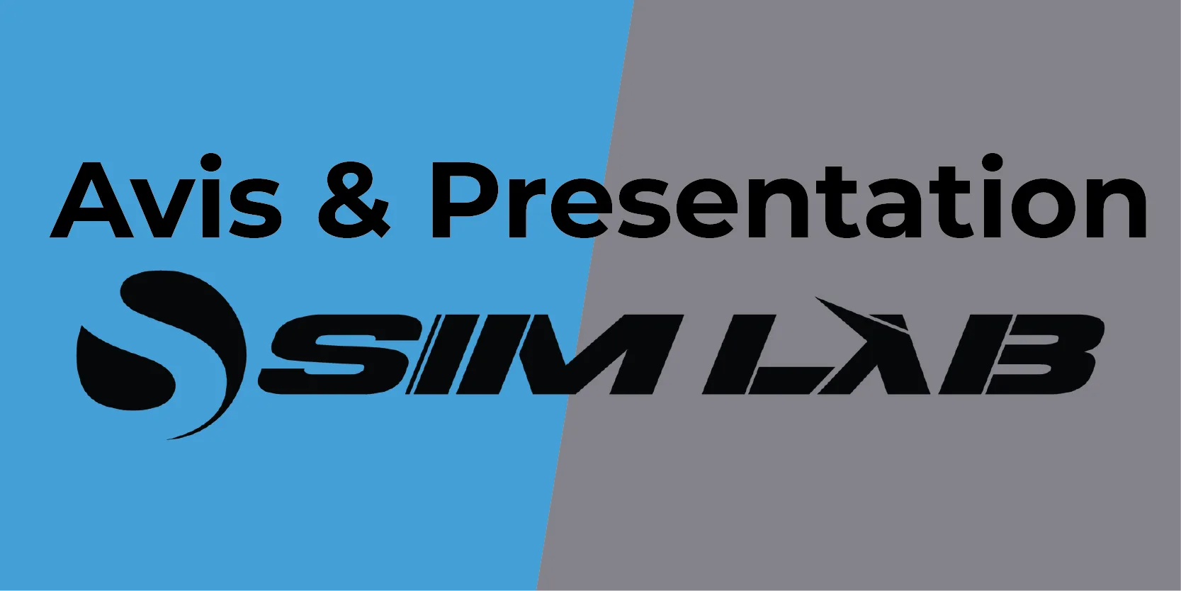 SIMLAB AVIS & PRESENTATION